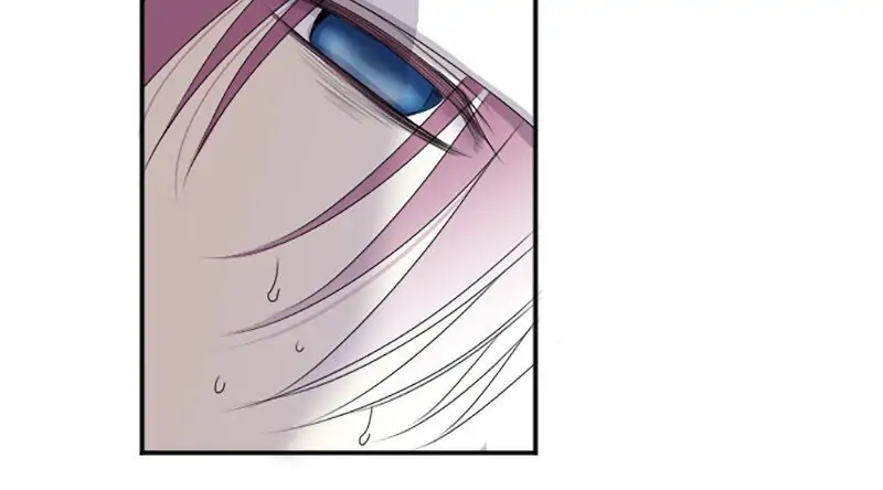 12098581 800 444 13830